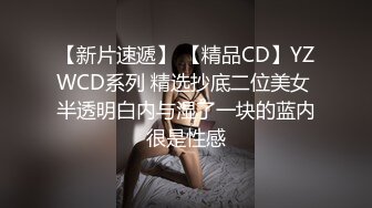 【新片速遞】 【精品CD】YZWCD系列 精选抄底二位美女 半透明白内与湿了一块的蓝内很是性感