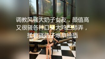 调教风骚大奶子女友，颜值高又很骚各种口交大鸡巴舔弄，揉着骚奶子爆草抽插