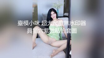 臺模小咪 超大尺度無水印器具插穴紫微私拍套圖