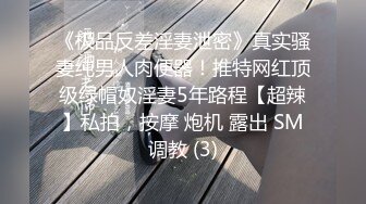   淫娃欲姐 超薄极透开档肉丝 女上位全自动榨汁小能手 无比湿滑嫩穴 肉棒裹满湿漉漉的淫