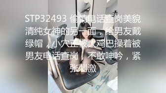 女婿 为性欲超强女婿而疯狂的岳母 里崎爱佳