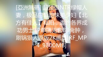 【极品熟女】碧水佳人合集，超有气质美乳熟女爱喷水--这个熟女姐姐真是，面容姣好，奶子又软又美 (3)