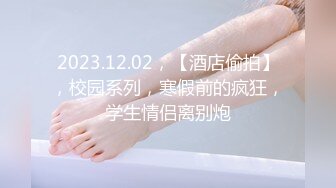 2023.12.02，【酒店偷拍】，校园系列，寒假前的疯狂，学生情侣离别炮