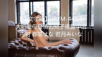 ktv被征服的少妇