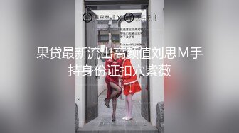 【星仔寻欢】极品良家骚妇，一对豪乳，帅小伙寻觅缺失母爱，舌吻啪啪，口交不停，浪叫连连主动妩媚