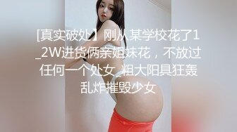 我的大胸前女友2