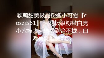 9-26李总探花约会气质少妇，情人柔情似水床上配合度极高