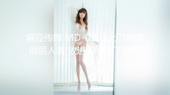 麻豆传媒 MD-0261上门偷情俏丽人妻 放进去一下下就好