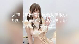 大神【丰田哥】玩肏女神级小姐姐，车震足交口活吞精，听话乖巧非常骚母狗