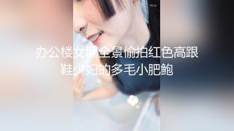 办公楼女厕全景偷拍红色高跟鞋少妇的多毛小肥鲍