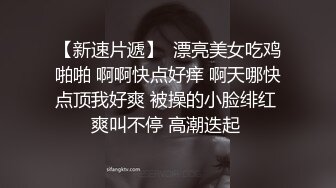 这巨无霸打桩爽