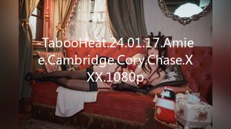 -TabooHeat.24.01.17.Amiee.Cambridge.Cory.Chase.XXX.1080p