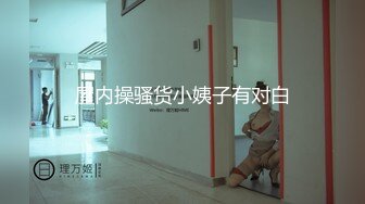 保安误把客人当做小偷,客人要求他和经理一起陪他才能和解 上集