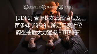 STP29515 新人下海美女！酒瓶插穴自慰！连体渔网袜，跳蛋假屌双管齐下，娇喘呻吟极度诱惑 VIP0600