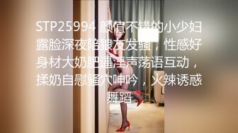   爱情丶故事网恋新人良家少妇，吃饱喝足再操逼，撩起衣服吸奶子，抬起双腿激情爆操