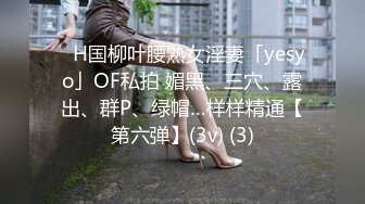 ✨H国柳叶腰熟女淫妻「yesyo」OF私拍 媚黑、三穴、露出、群P、绿帽…样样精通【第六弹】(3v) (3)