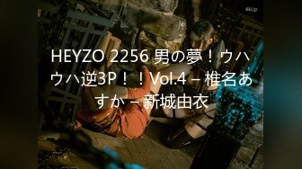 HEYZO 2256 男の夢！ウハウハ逆3P！！Vol.4 – 椎名あすか – 新城由衣