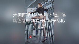 女仆主题系列第一集看热度出二三集