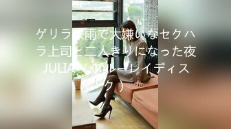 ゲリラ豪雨で大嫌いなセクハラ上司と二人きりになった夜 JULIA （ブルーレイディスク）