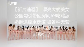 威猛大屌探花达人【二狗寻花】11.26重金约操极品爆乳大奶妹 高颜值173CM这回狗哥操个极品 竟无套内射