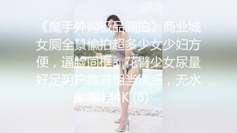 没正经①