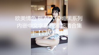 欧美情色 BLACKED媚黑系列 内嵌中文字幕系列 超清合集十【17V】 (14)