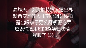 屌炸天！新流推特狠人露出界新晋变态狂人【南小姐】私拍 露出喂蚊子男公厕紫薇吃屎垃圾桶捡用过的避孕套吃精 我服了 (5)