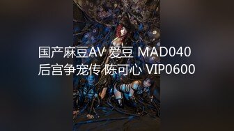 国产麻豆AV 爱豆 MAD040 后宫争宠传 陈可心 VIP0600