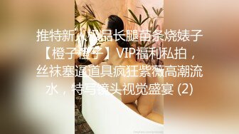 推特新人极品长腿苗条烧婊子【橙子橙子】VIP福利私拍，丝袜塞逼道具疯狂紫薇高潮流水，特写镜头视觉盛宴 (2)